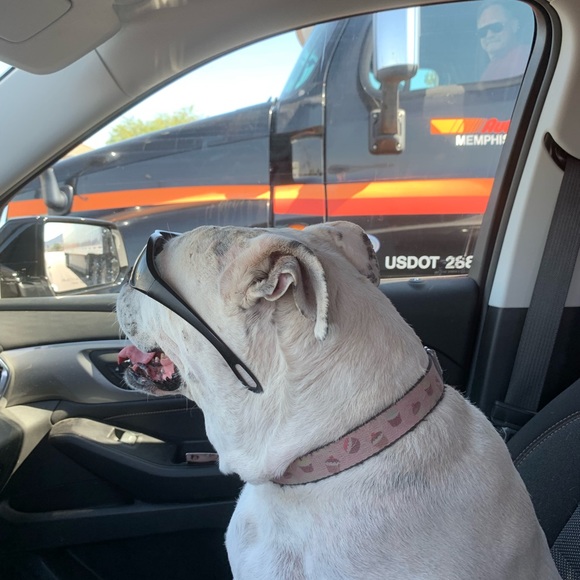 Meet your Posher - Picture 7 of 7